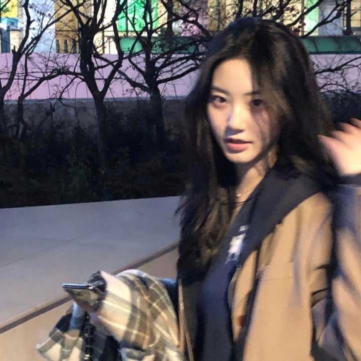 龟女士的奥德赛