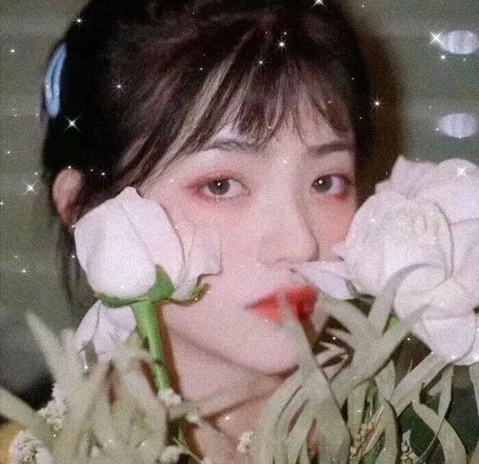 百合熊风暴